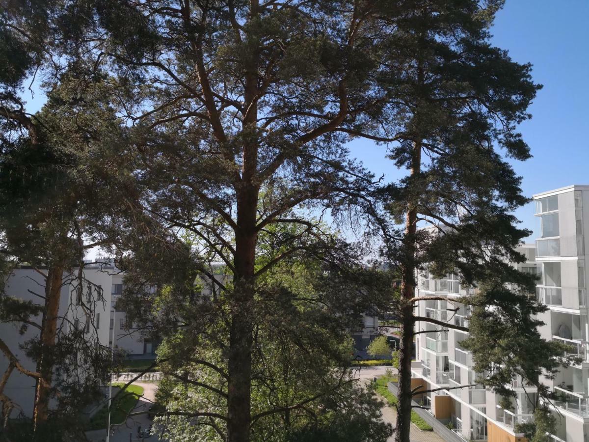 Charming Pine View Apartment 万塔 外观 照片
